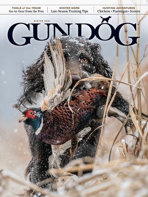 cover image of Gun Dog